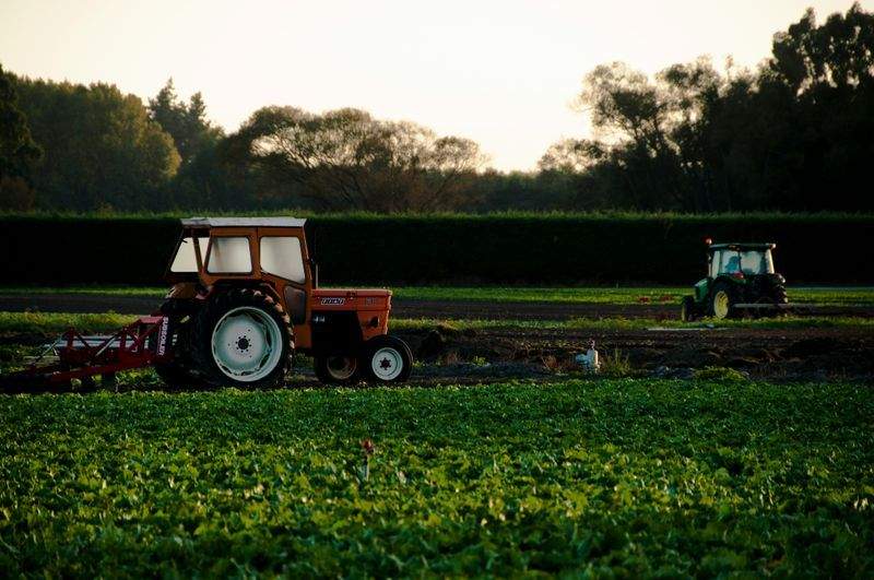 AgroValle Ibérico